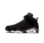Air Jordan 6 Retro " Metallic Silver"