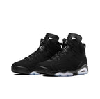 Air Jordan 6 Retro " Metallic Silver"