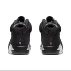 Air Jordan 6 Retro " Metallic Silver"