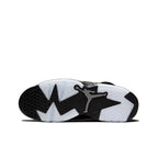 Air Jordan 6 Retro " Metallic Silver"