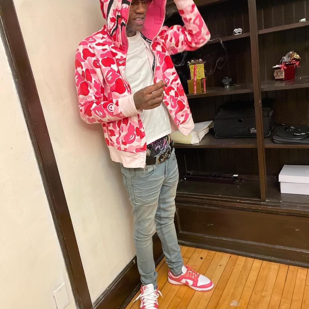 HOODIE BAPE ROSA