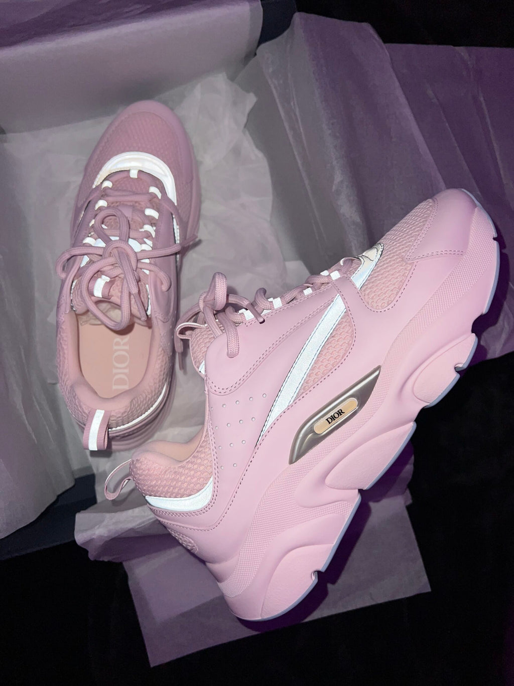 DIOR B22 ROSA