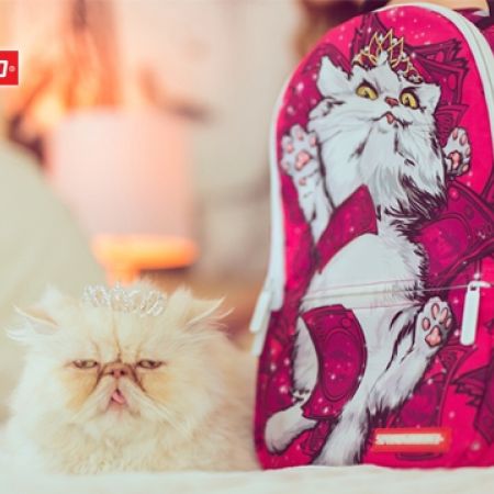 MOCHILA SPRAYGROUND RICH CAT